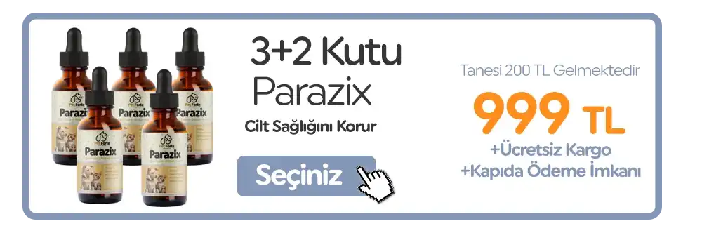 3. Paket
