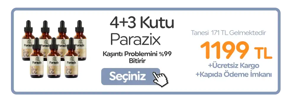 4. Paket