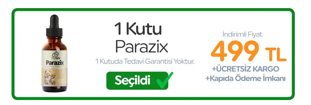 1. Paket