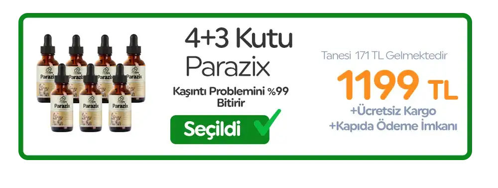 4. Paket