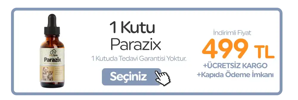 1. Paket