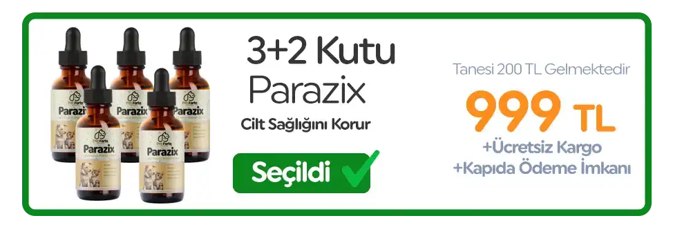 3. Paket