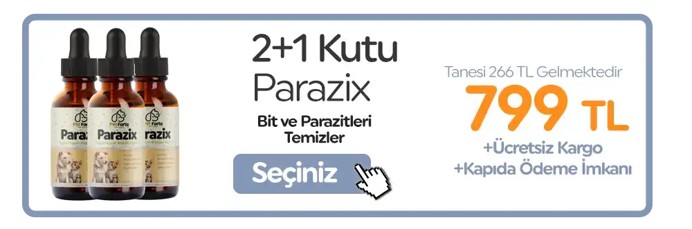 2. Paket