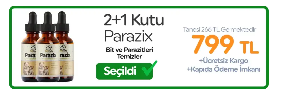 2. Paket